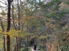 -大罗山风景区