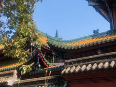 -丰都鬼城名山景区