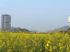 -光明小镇欢乐田园