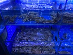 -金海湾海鲜排档(朱家尖店)