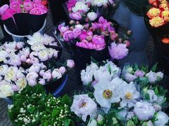 -三圣花乡旅游区