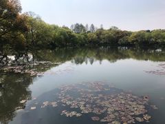 -西湖外事游船(花港观鱼码头)