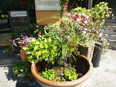 -陈生记黑鱼馆·20年活鱼现杀(宁波鼓楼店)