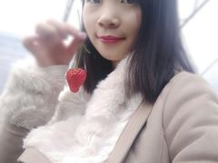 -大自然农场蔬菜草莓采摘园