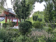 -西海子公园