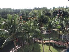 -三亚海棠湾万丽度假酒店