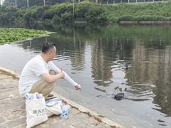 -前关湿地公园