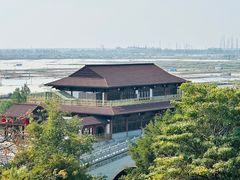 -大湾区中央湿地公园