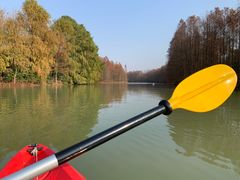 -上海海湾国家森林公园