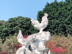 -金鸡山公园
