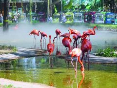 -石家庄市动物园