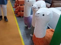 -沈阳国际会展中心管理有限公司