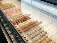 -BLACKSWAN黑天鹅(环球店)