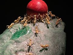-深圳珠宝博物馆