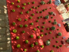 -前小桔亲子创意农场·草莓采摘·露营烧烤