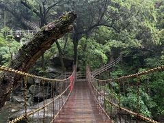 -大鄣山卧龙谷景区