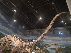 -自贡恐龙博物馆