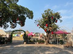 -长洲岛都市农业公园