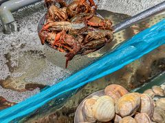 -伍棵煋炭烤自助料理·烤鳗鱼(浦东食品城店)