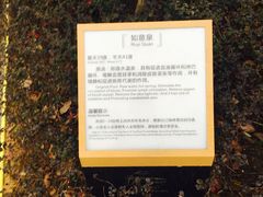 -凤翔首邑温泉度假村