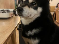 -柴の食堂·日式家庭料理·熊之肆(大学路店)
