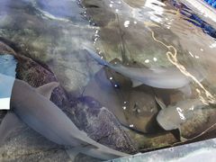 -鸿通城购物中心