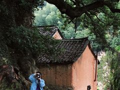 -杨家堂村