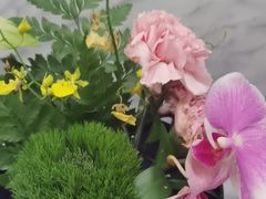 -狮王府淮扬菜(万象城店)