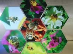 -上海昆虫博物馆