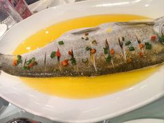 -普天和酒楼(天津之眼店)