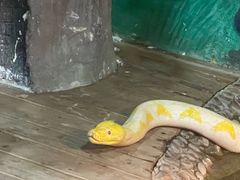 -石家庄市动物园