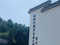 -四明山国家森林公园