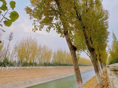 -汉长安城未央宫国家考古遗址公园