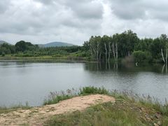 -塞罕坝国家级自然保护区