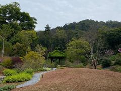 -云溪植物园