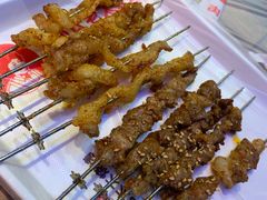 -邢氏老太太烤串(北兴街店)