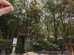 -西安国际创新人才交流中心•药浴温泉