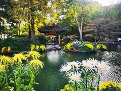 -杭州植物园