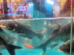 -魏铭鱼头捞饭(晋阳路店)