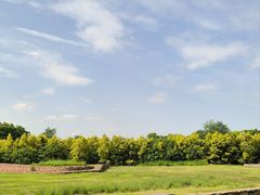 -白鹭湾湿地公园