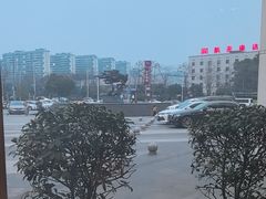 -徐记海鲜(梅溪新天地店)