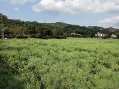 -红山村