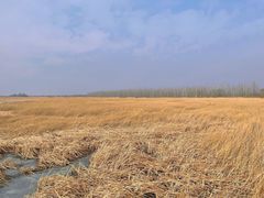 -野鸭湖国家湿地公园