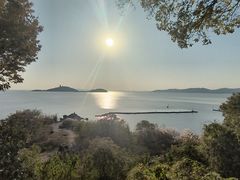 -上海市保健医疗中心