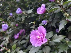 -螃蟹岬(地铁站)