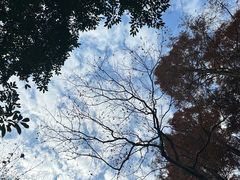 -杭州植物园