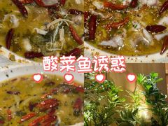 -太二酸菜鱼(天鹅湖万达店)