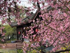 -荆川公园