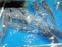 -炊江南·上海菜(国展华漕店)