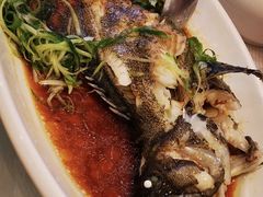 -金翠皇宫粤菜·点心·海鲜(科技园店)